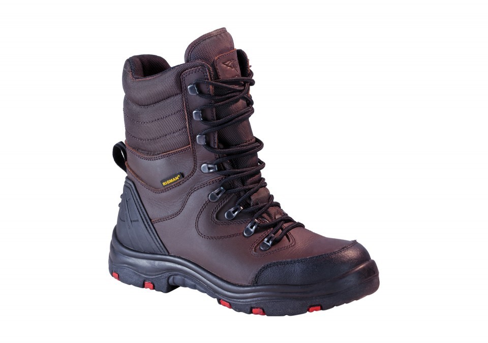 Safety Shoes PROSERIES 8
